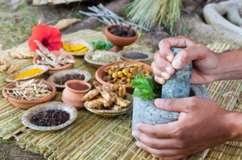 ayurvedic doctors list by state