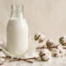Glass bottle with milk splash and cotton flowers still life